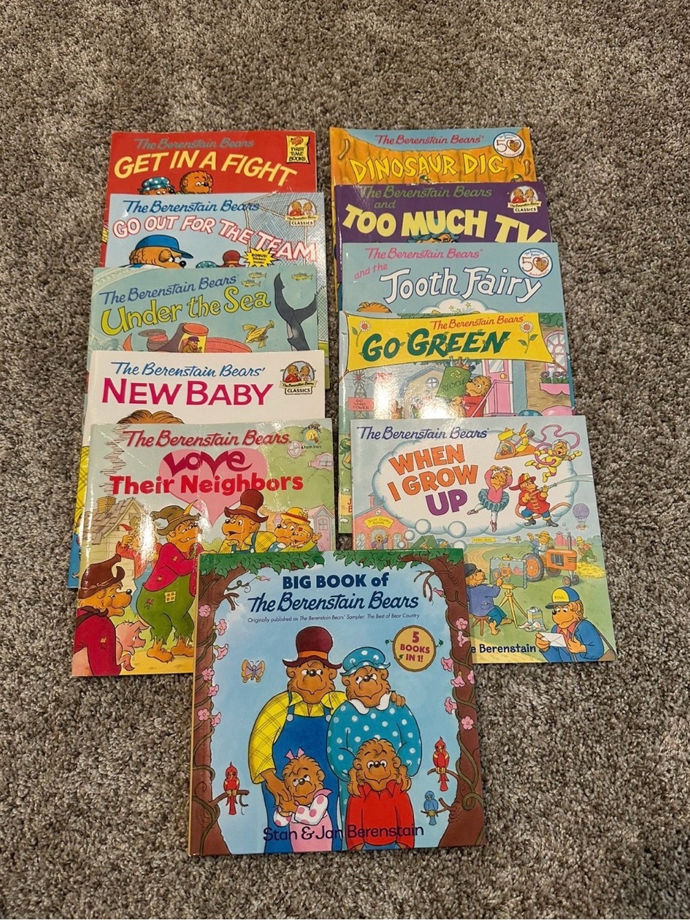 Berenstain Bears Kids Book Set - Colorful Stories Collection